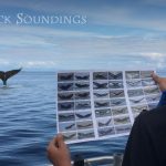 Frederick Soundings Radio Series Fluke ID