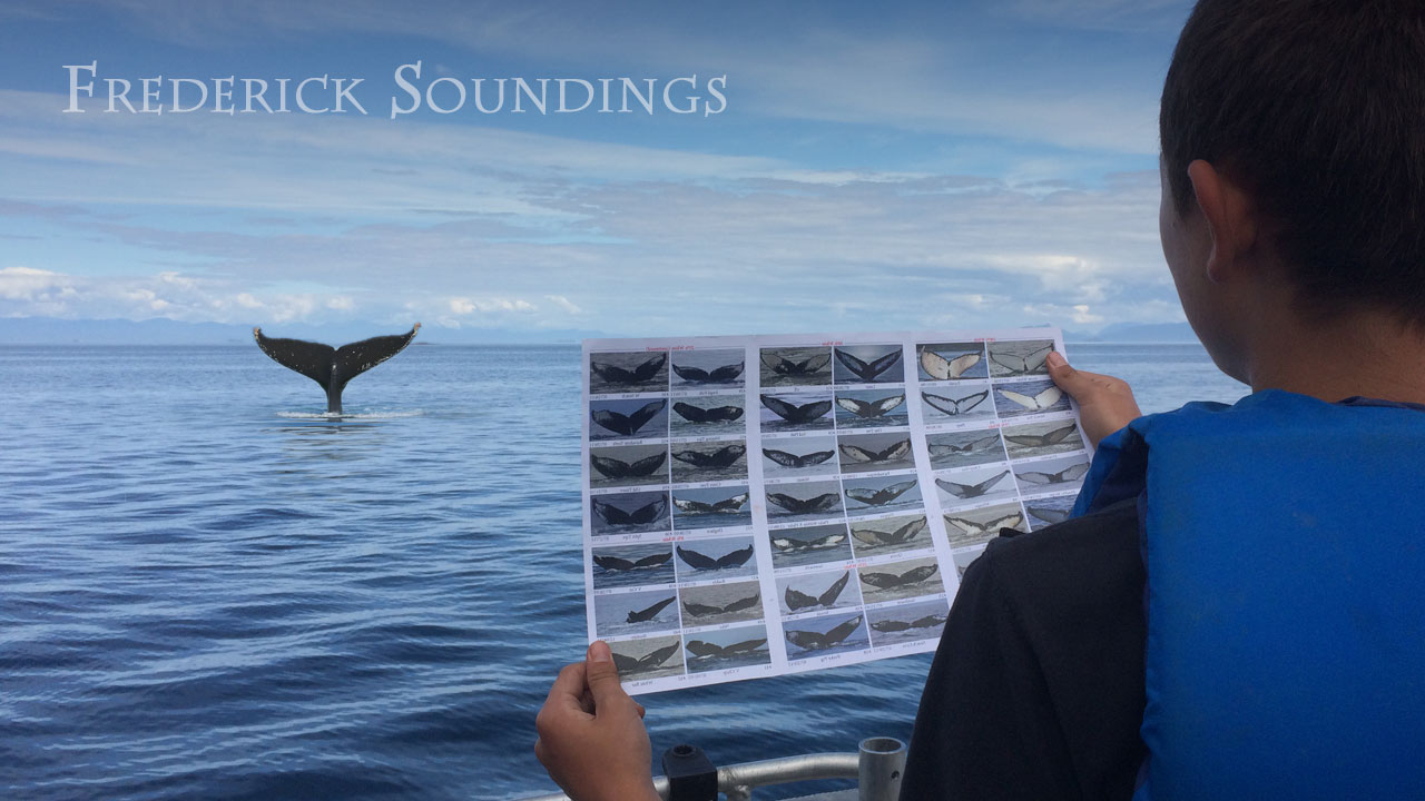 Frederick Soundings Radio Series Fluke ID