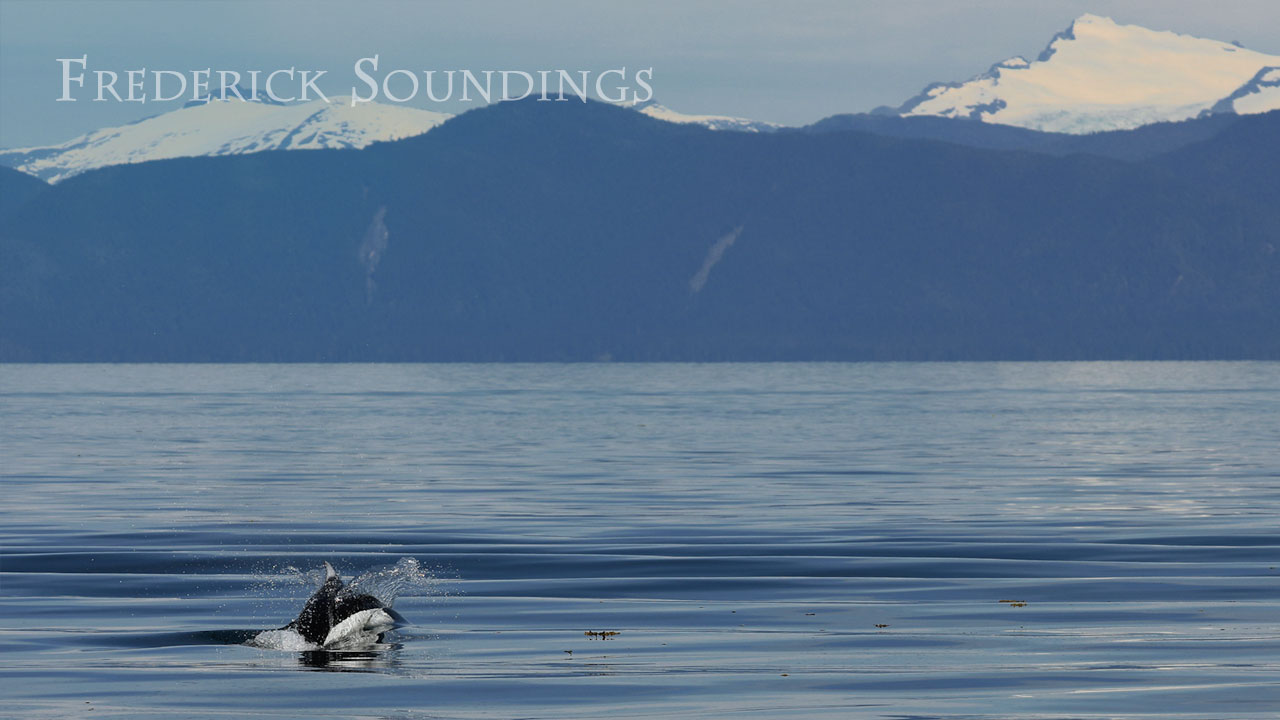 Frederick Soundings Radio Series Pig Fish Porpoise