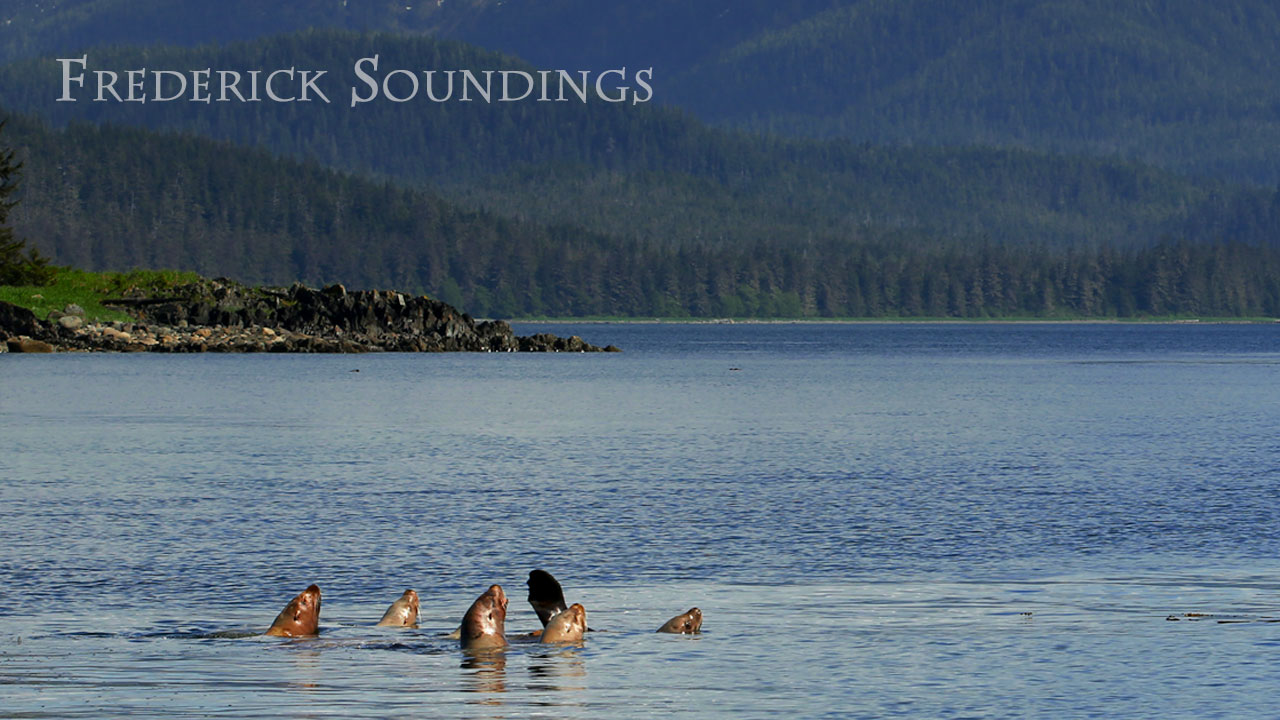 Frederick Soundings Radio Series Sea Lion or Seal